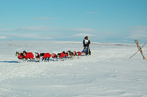 Iditarod Trail